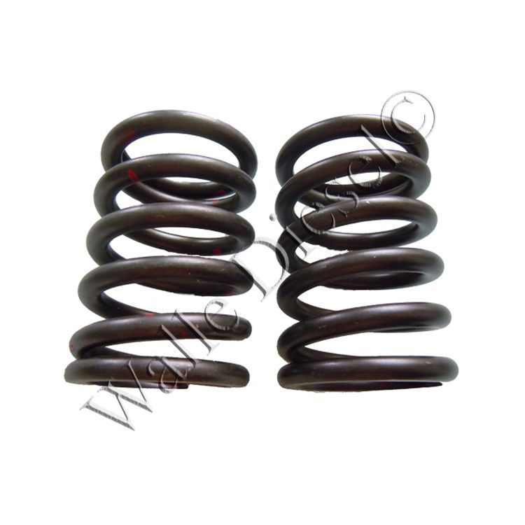 3633840 Valve Spring