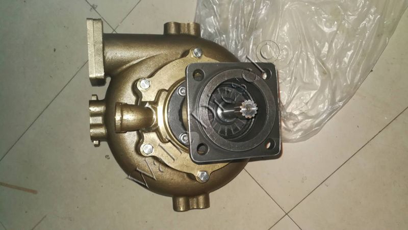 4314820 SEA WATER PUMP