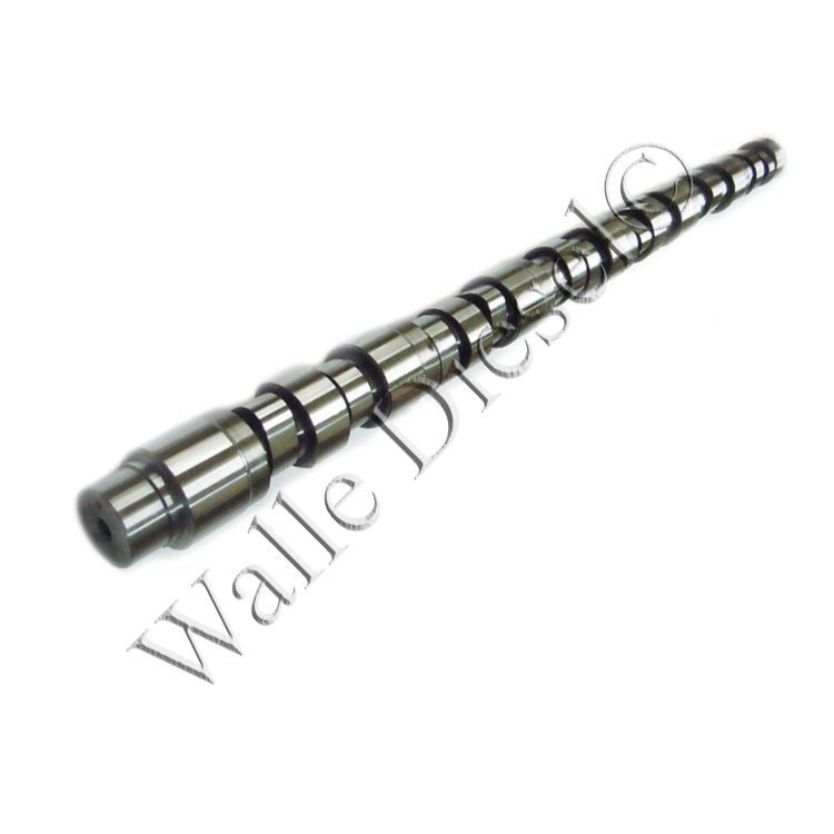 3066881 Camshaft