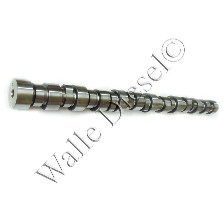 3895805 Camshaft