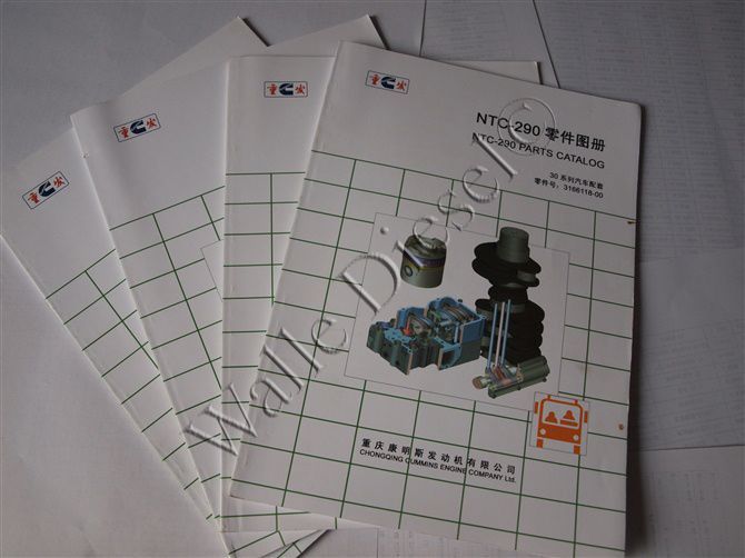 3166118 NTA855 Parts Catalog