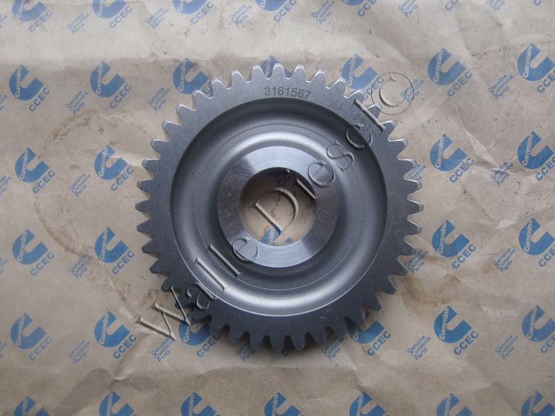 3161567 Hydraulic Pump Gear