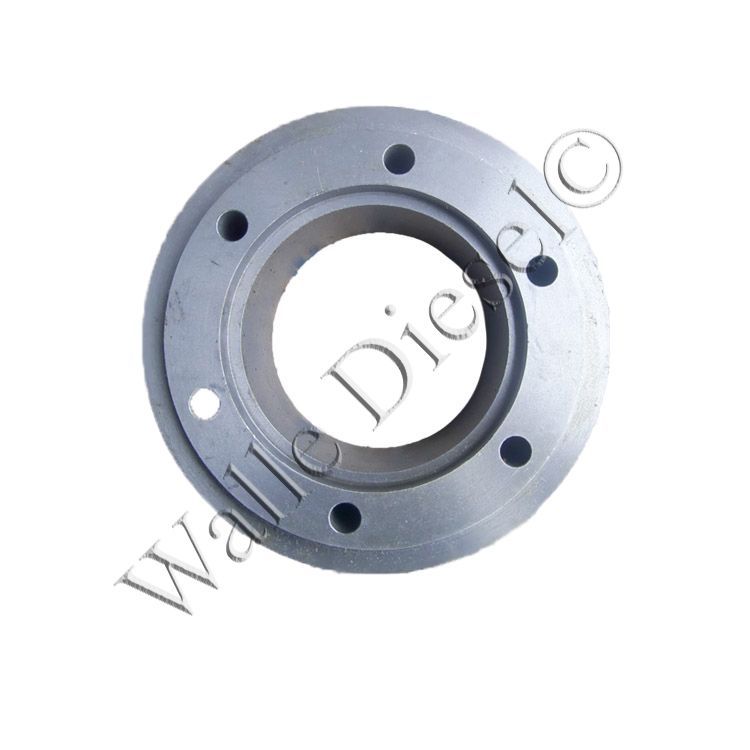 218708 Crankshaft Pulley