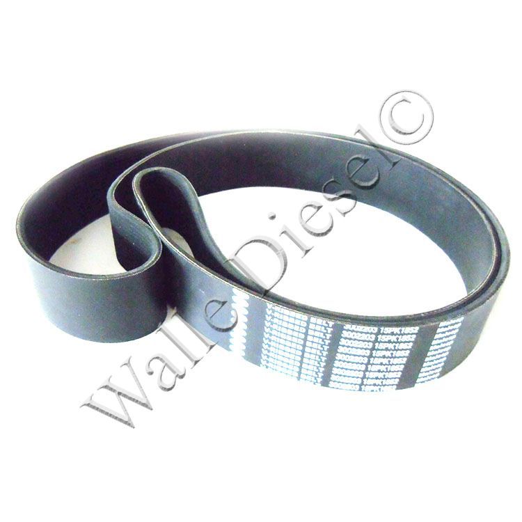 3002203 V RIBBED BELT