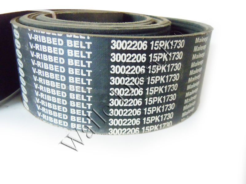 3002206 V RIBBED BELT