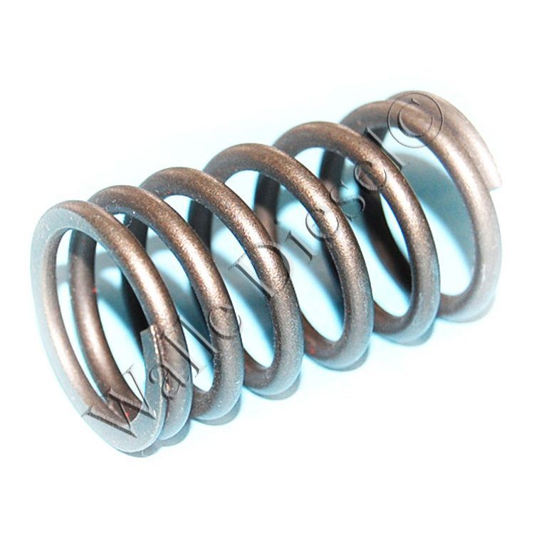 3629006 Valve Spring