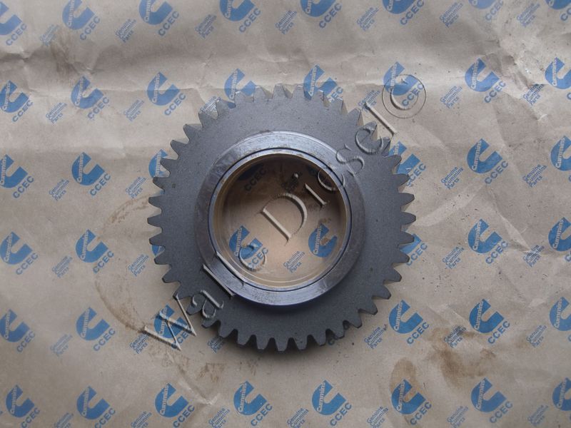 3038996 IDLER GEAR