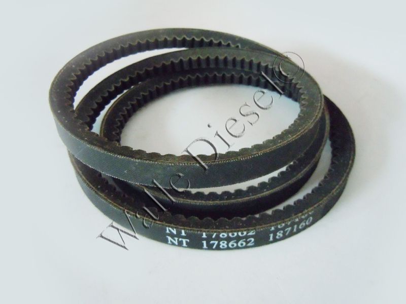 178662 V BELT