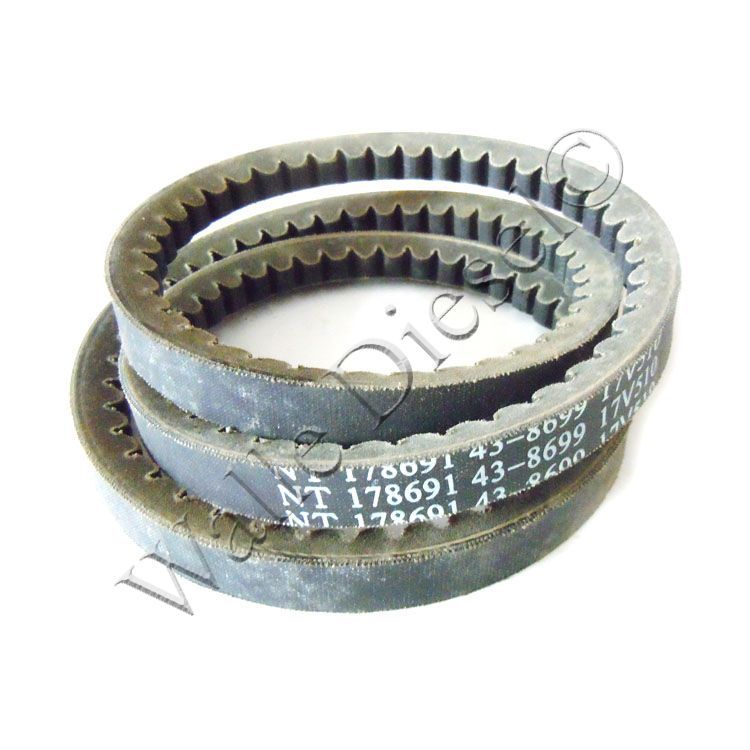 178691 V-Belt