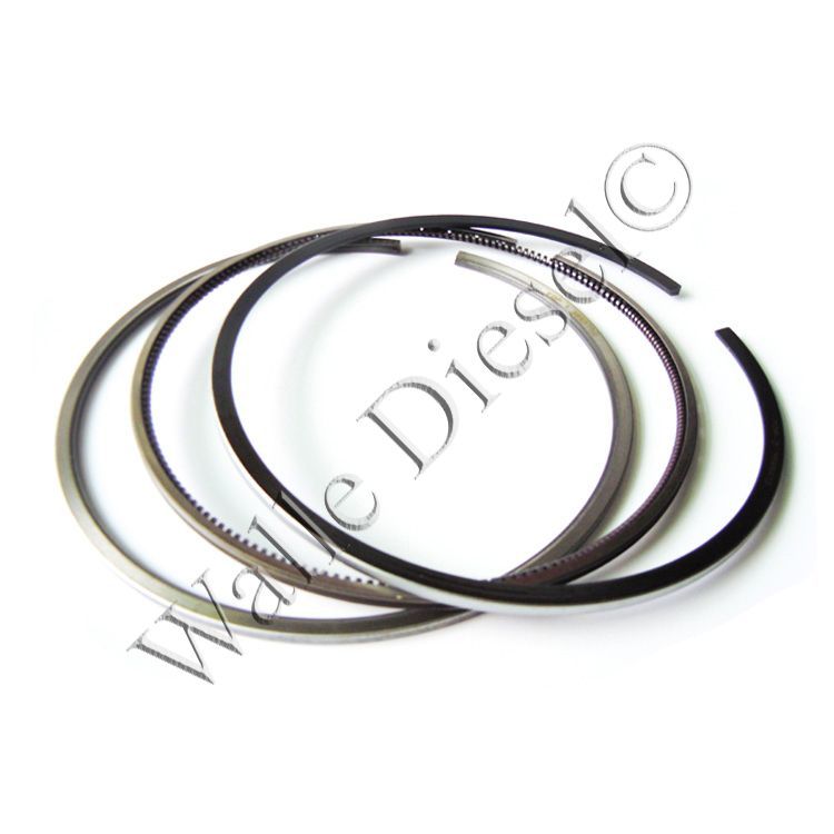 3801056-FP Piston Ring Set