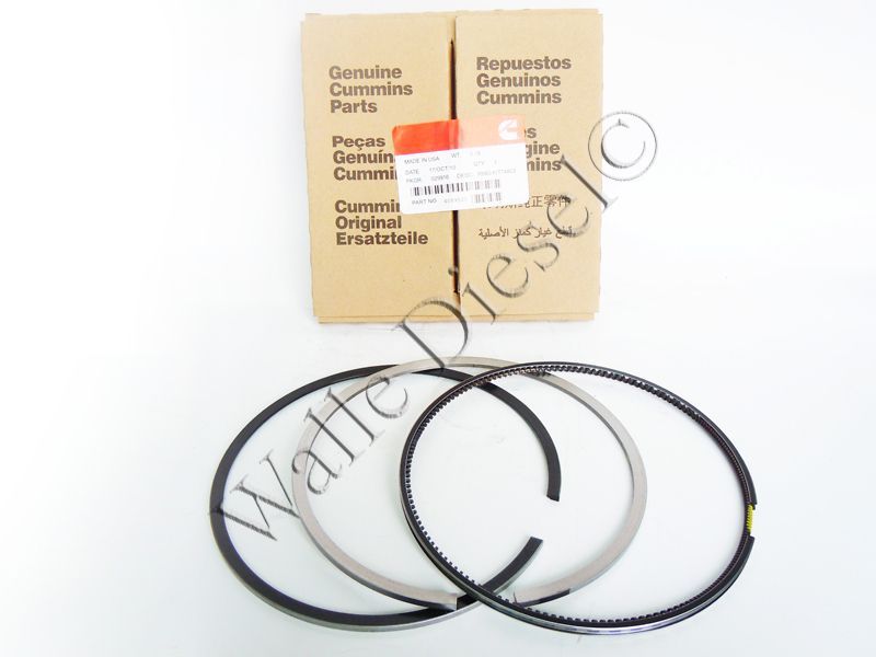 4989500 Piston Ring Set