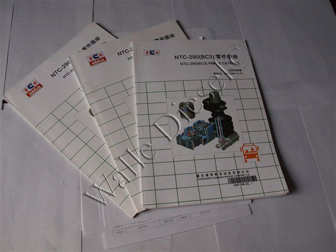 4061286 NT855 C290 Parts Catalog