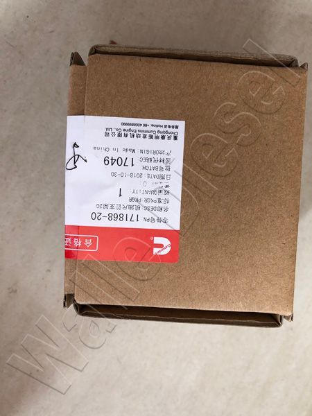 171868-20 Oil gauge tube bracket