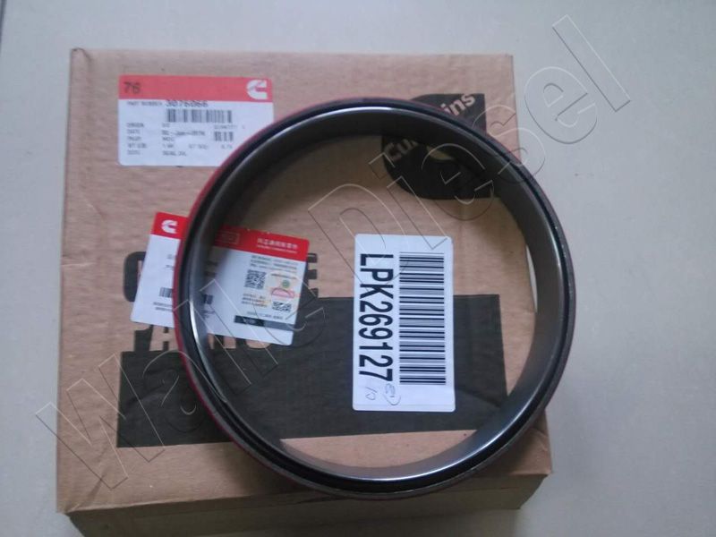 3076066 Oil Seal