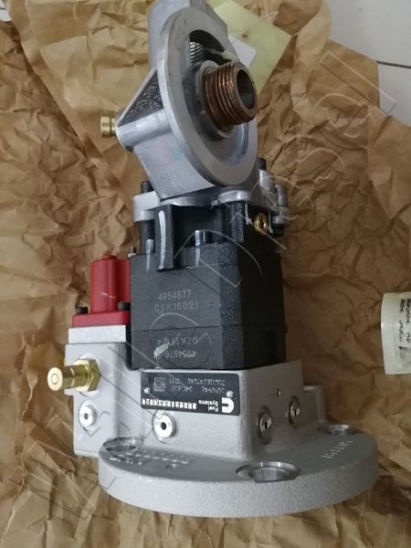 4954876 fuel pump