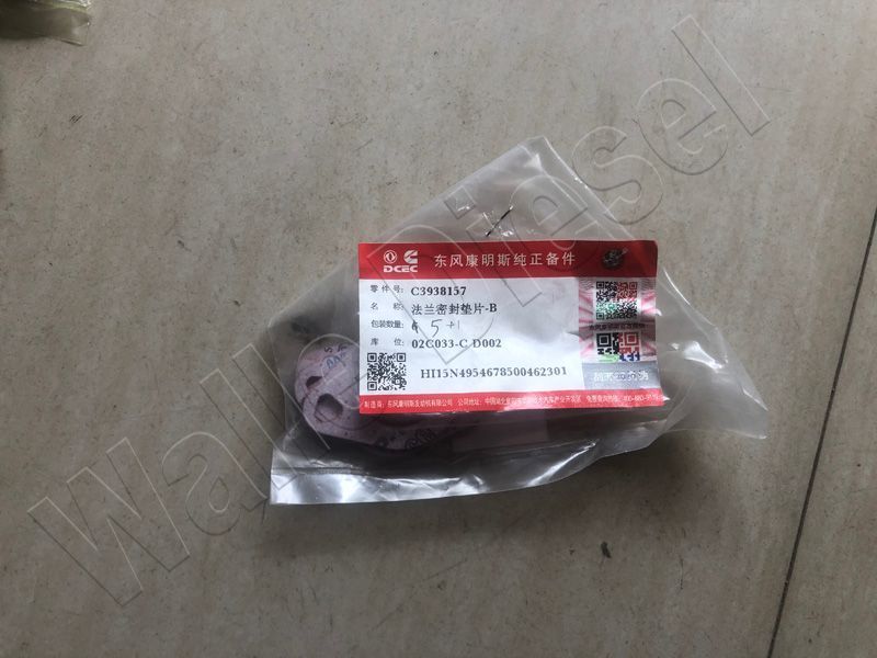 C3938157 - GASKET,FLANGE