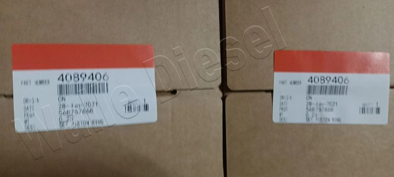 4089406-piston ring set