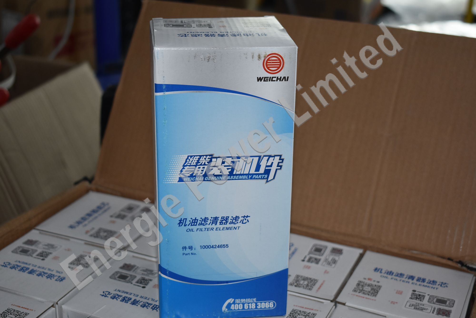 1000424655 Oil Filter Element