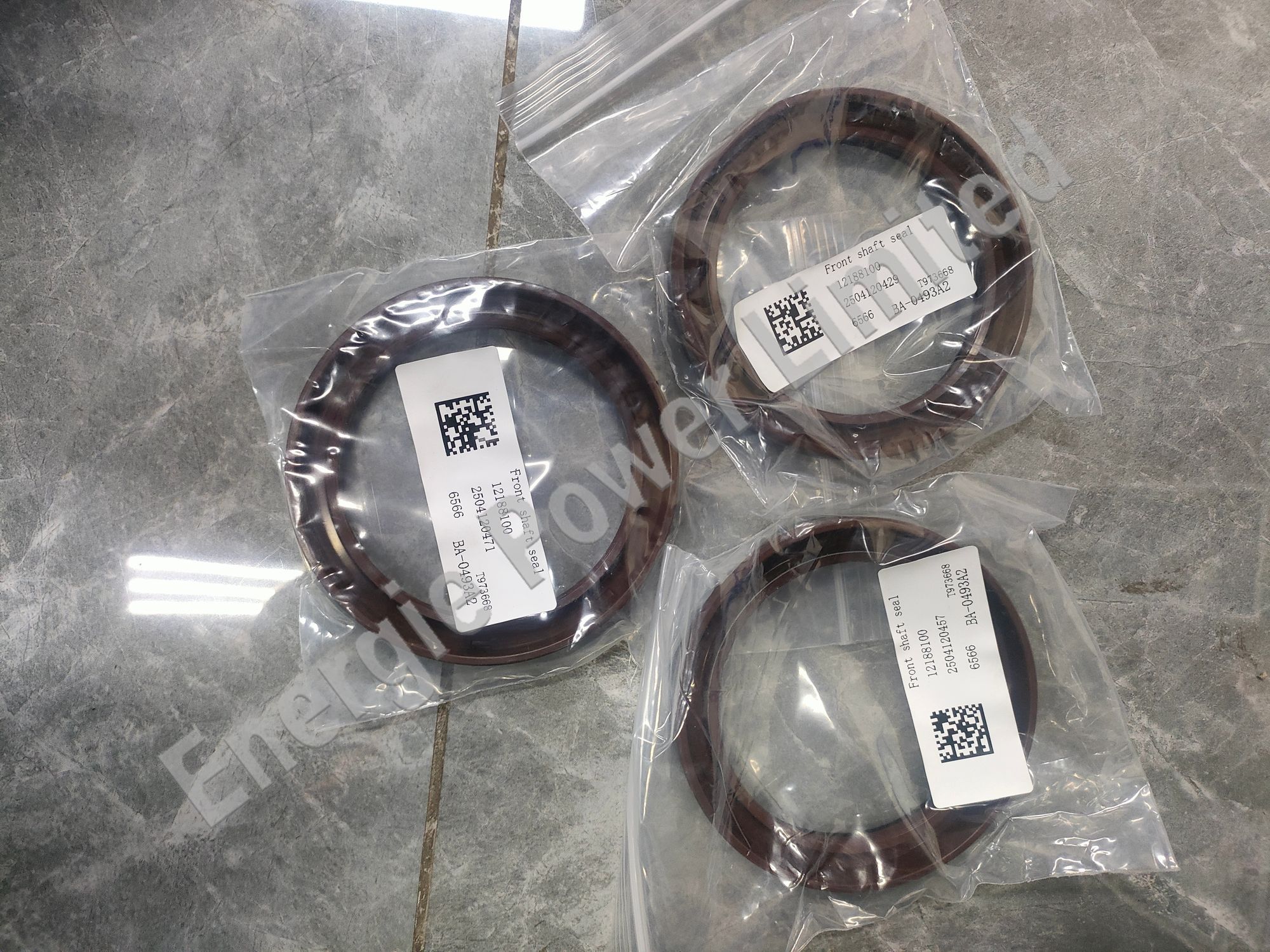 12188100 Front oil seal