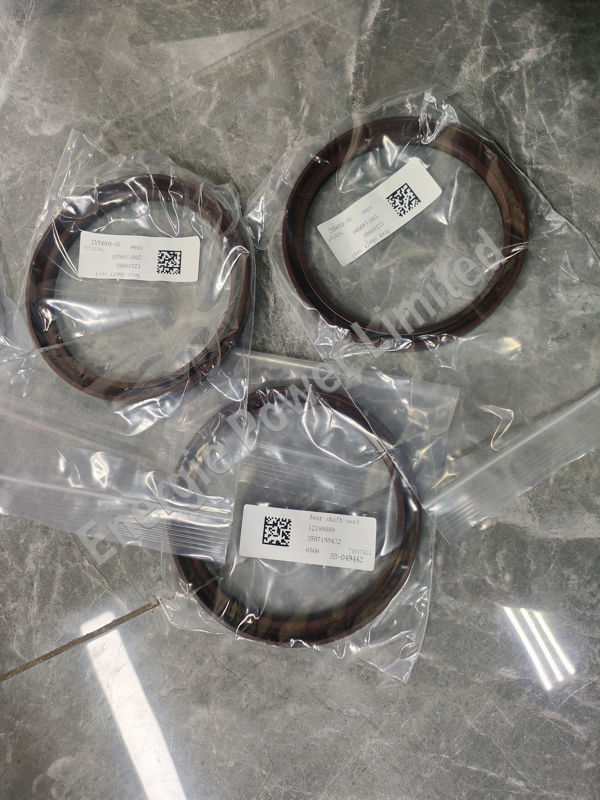 12189888 Oil seal