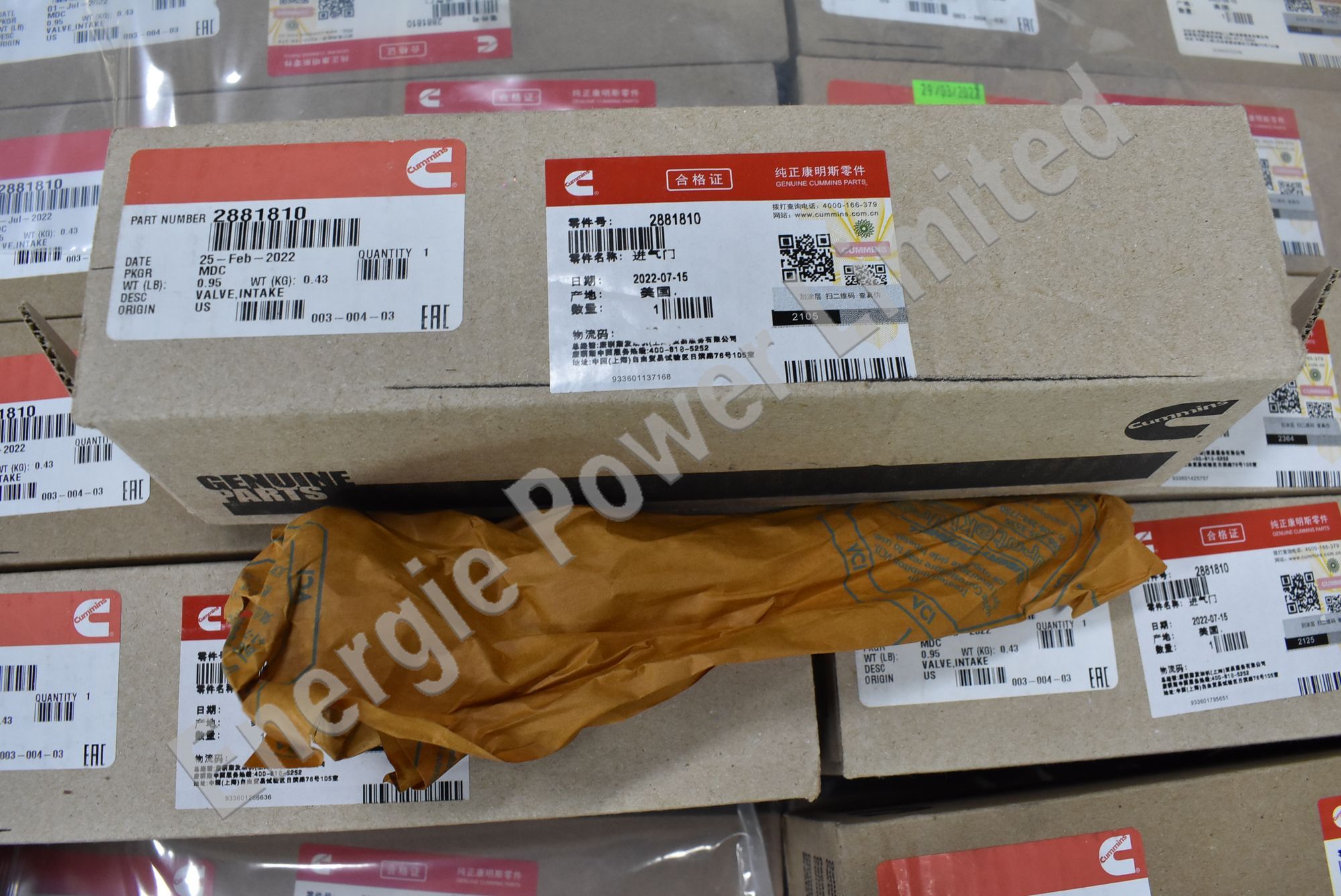 2881810 Intake Valve